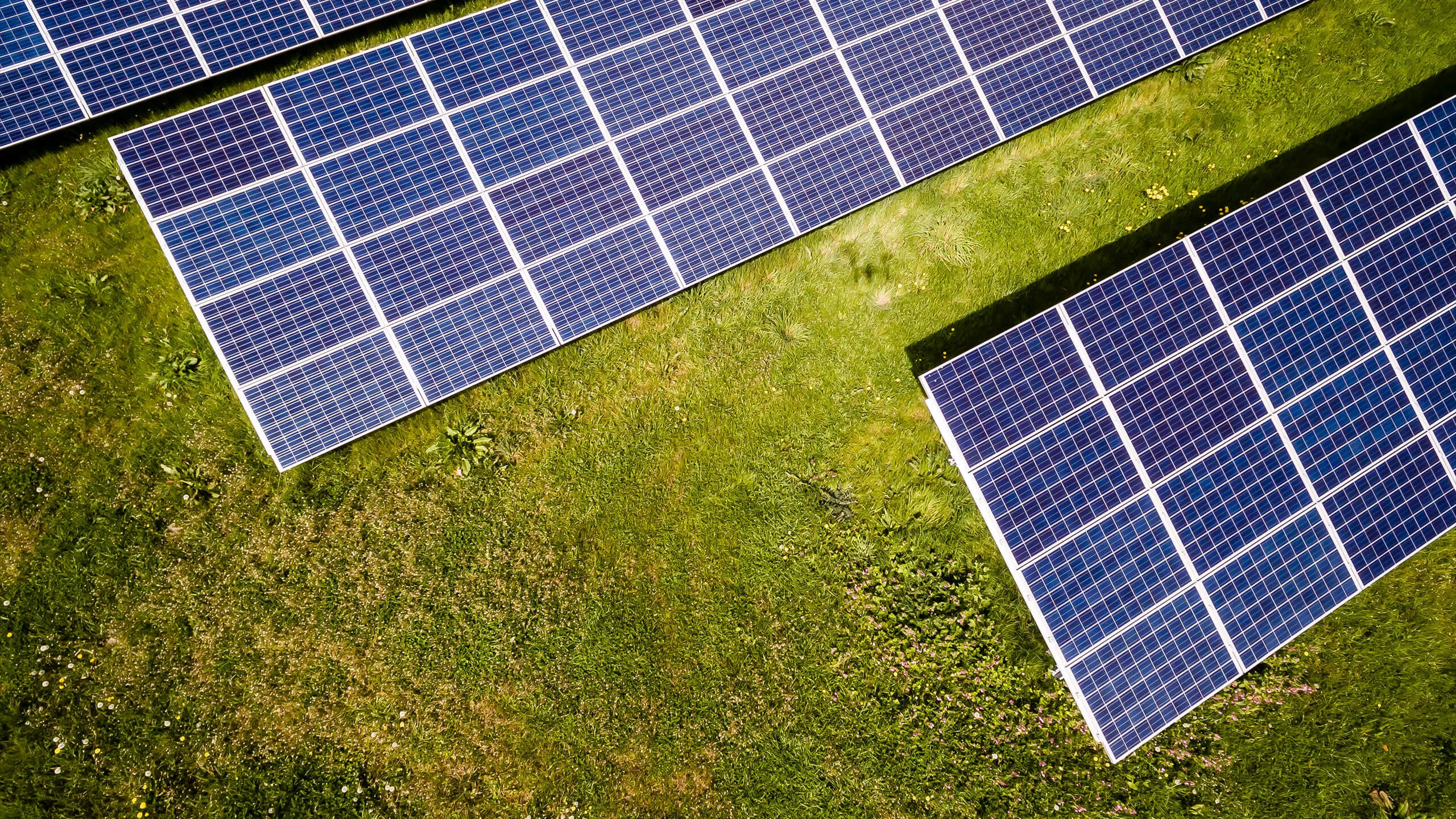 Renewable Energy - Solar Renewable Energy - Solar