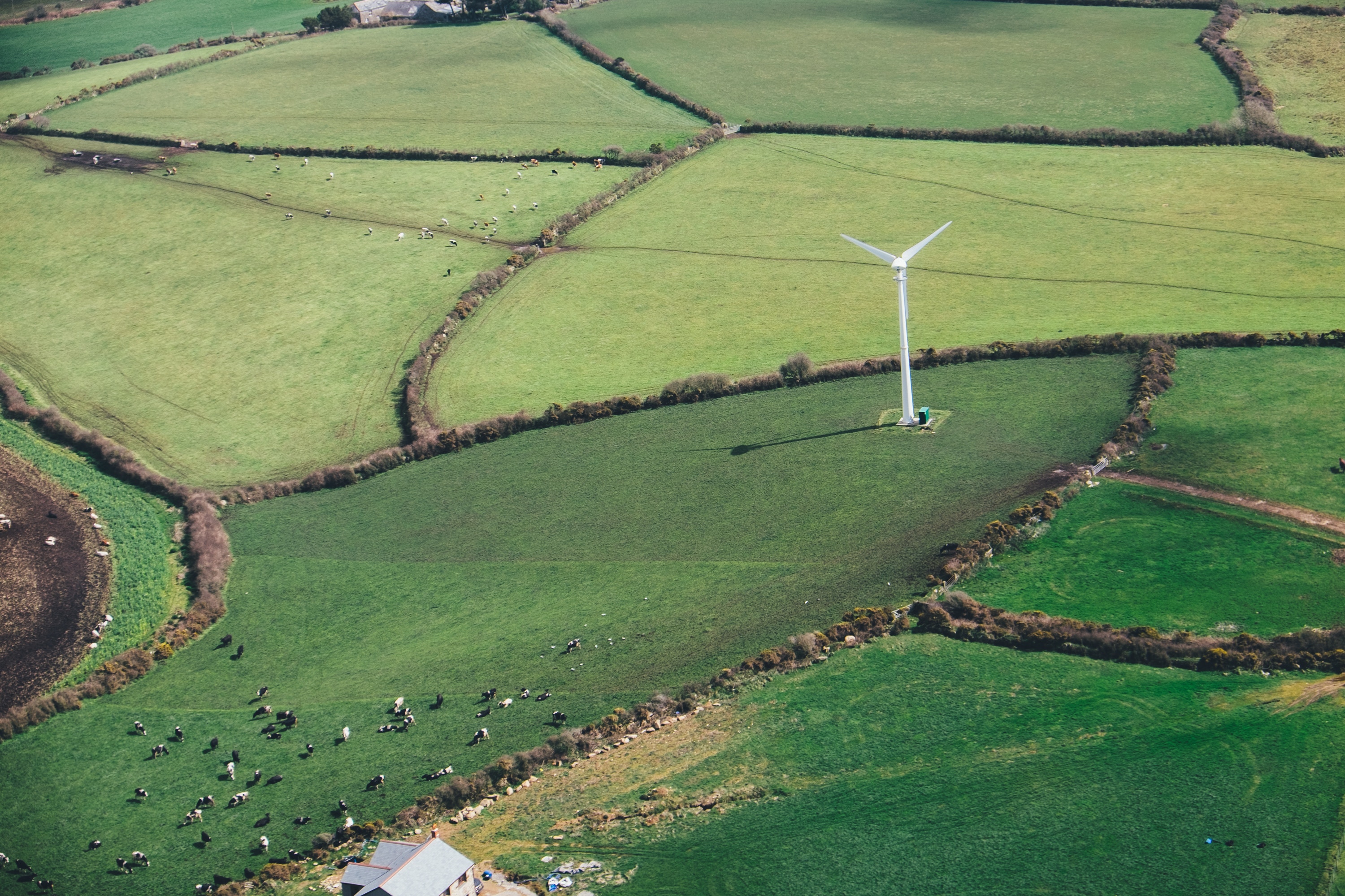 NextEra Energy NextEra Energy