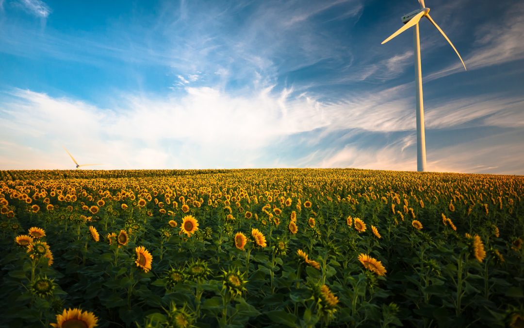 Renewable and Reliable